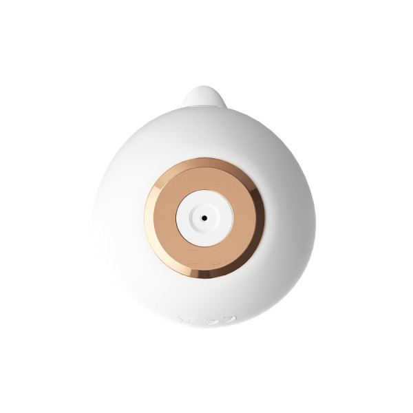 Stimulateur multifonction USB Renard 